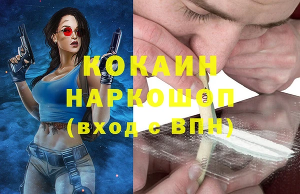 шишки Бронницы