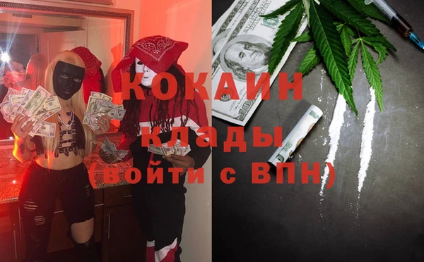 шишки Бронницы