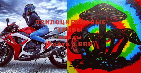 шишки Бронницы
