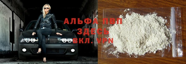 экстази Бородино