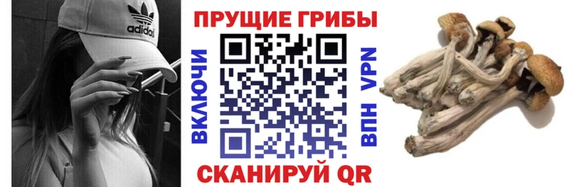 Псилоцибиновые грибы GOLDEN TEACHER Новохопёрск